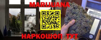 гидра Моздок