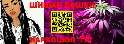 гидра Моздок