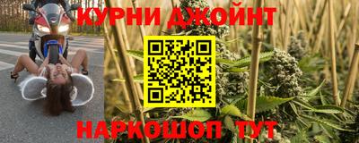 гидра Моздок